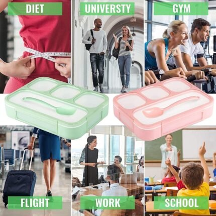 Lunch Box Compartment With Leak Proof Lunch Box For School Office Use